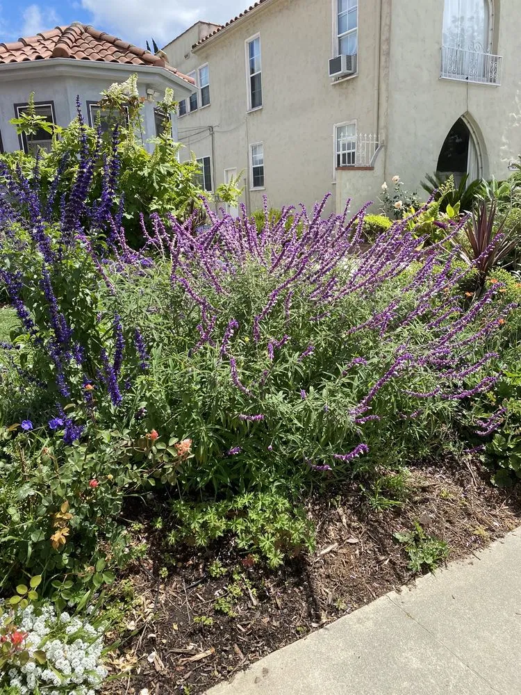 Slide of All In One Electric