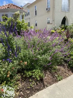 All In One Electric Logo