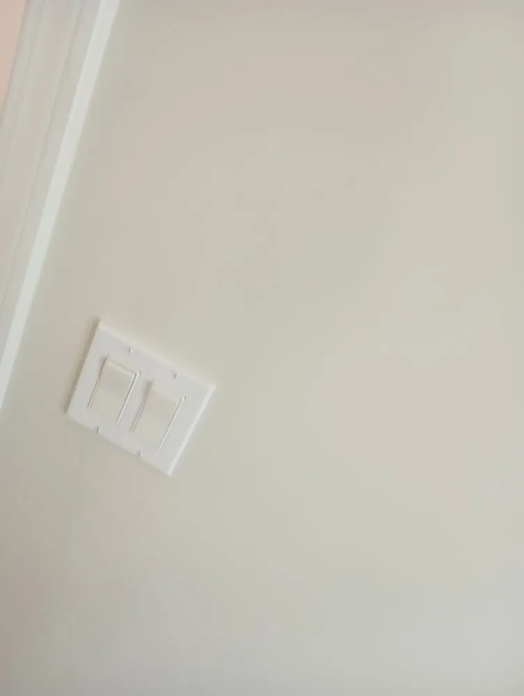 Slide of All N 1 Electrical Servicing