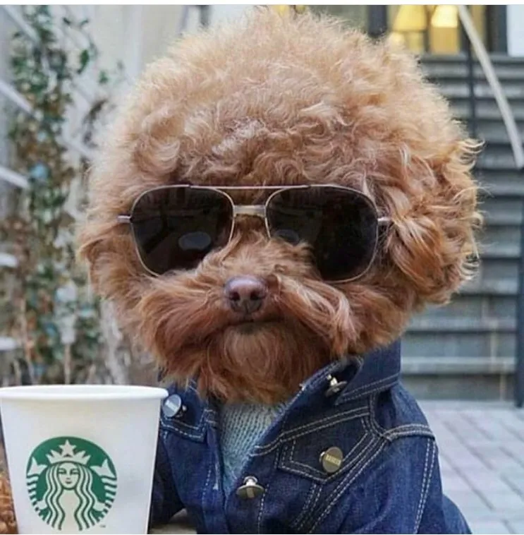 Slide of All People Electric