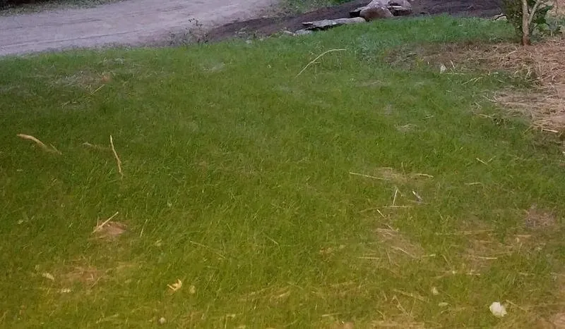 Slide of All Phase Property Maintenance