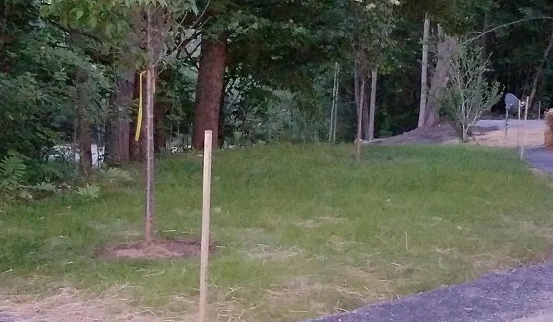 Slide of All Phase Property Maintenance