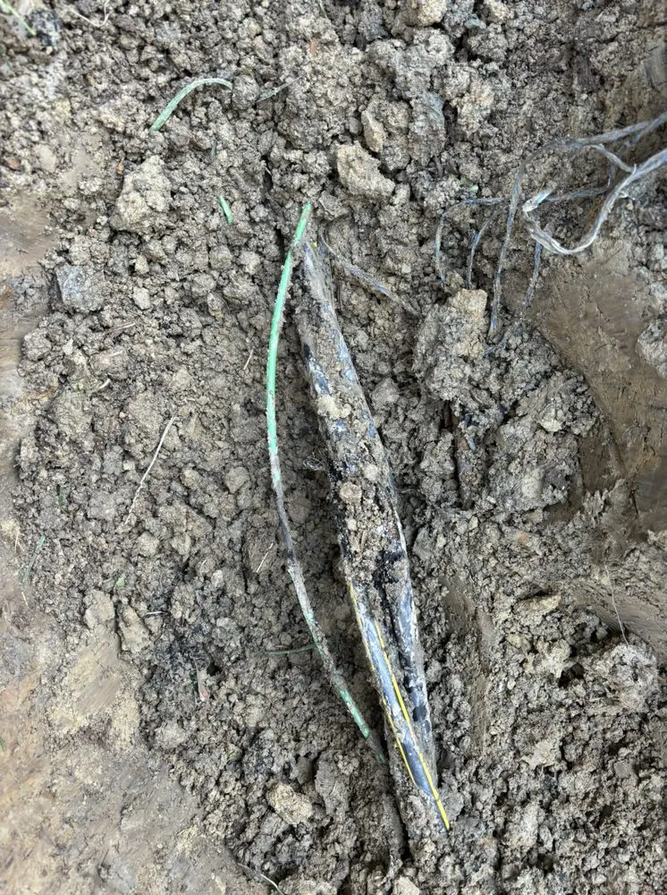 Slide of All Phaze Electric