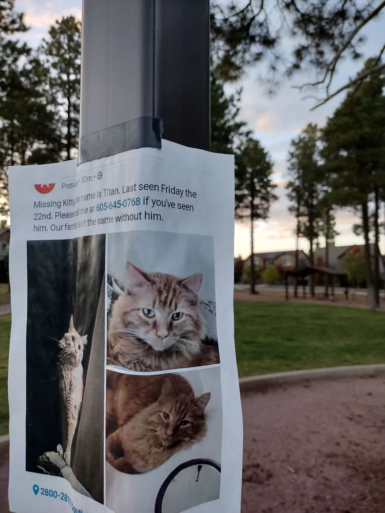 Slide of All Points Electric