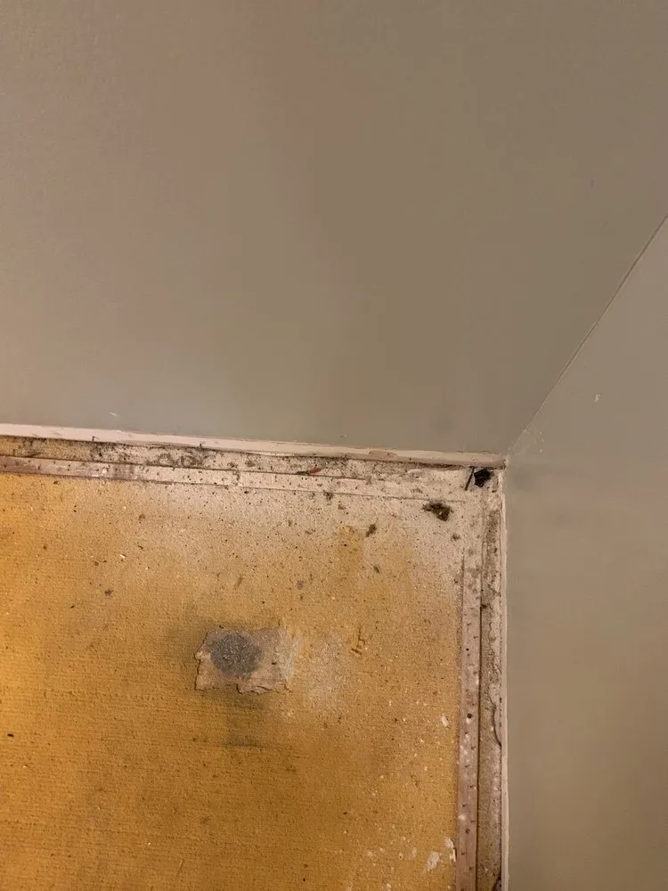 Slide of All Pro Electric, Inc.