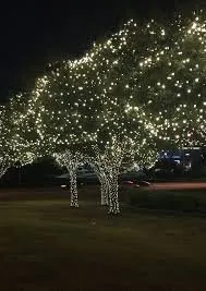 Slide of All Pro Electrical Services