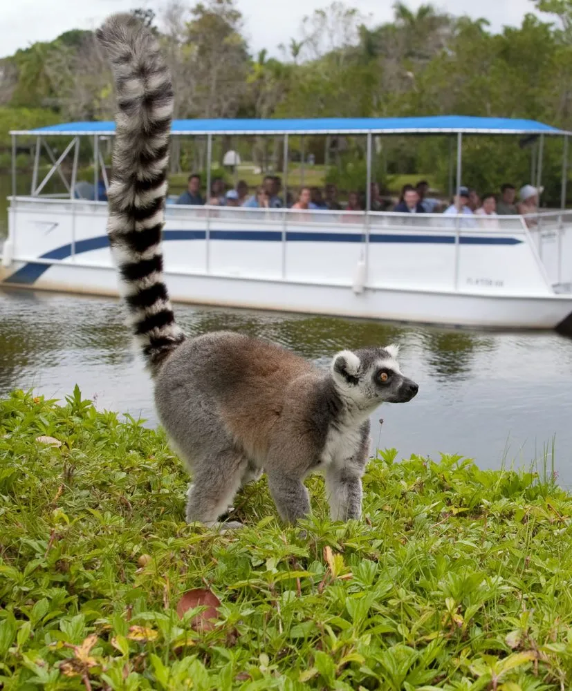 Slide of All Service Electric of Fort Myers