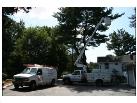 Slide of All Star Electric