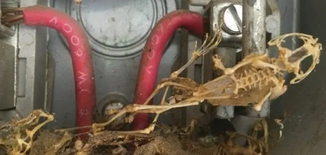 Slide of All Things Electric