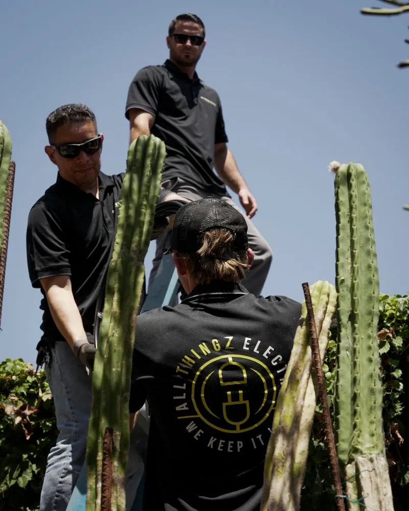 Slide of All Thingz Electric