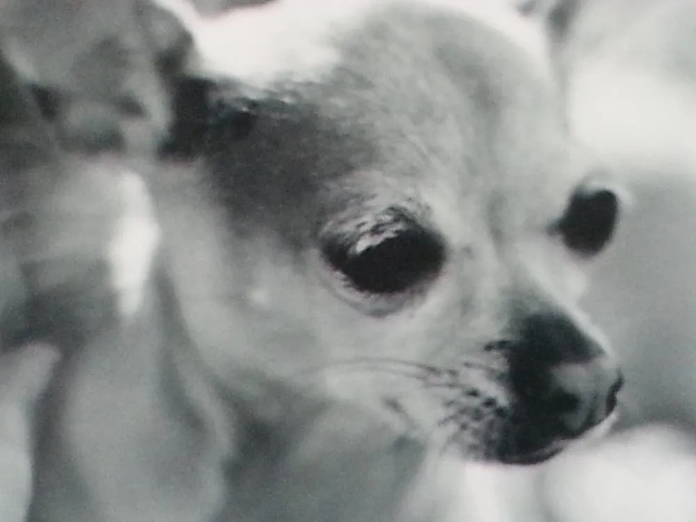 Slide of All Valley Electrical Werks