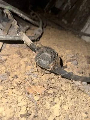 All Wired Up Electrical Services