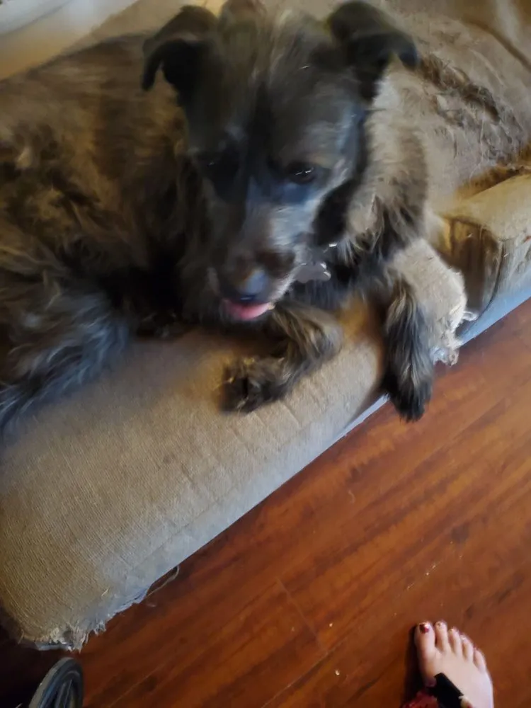 Slide of Allbright Electric Heating & Air Conditioning