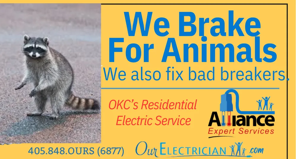 Slide of Alliance Expert Services