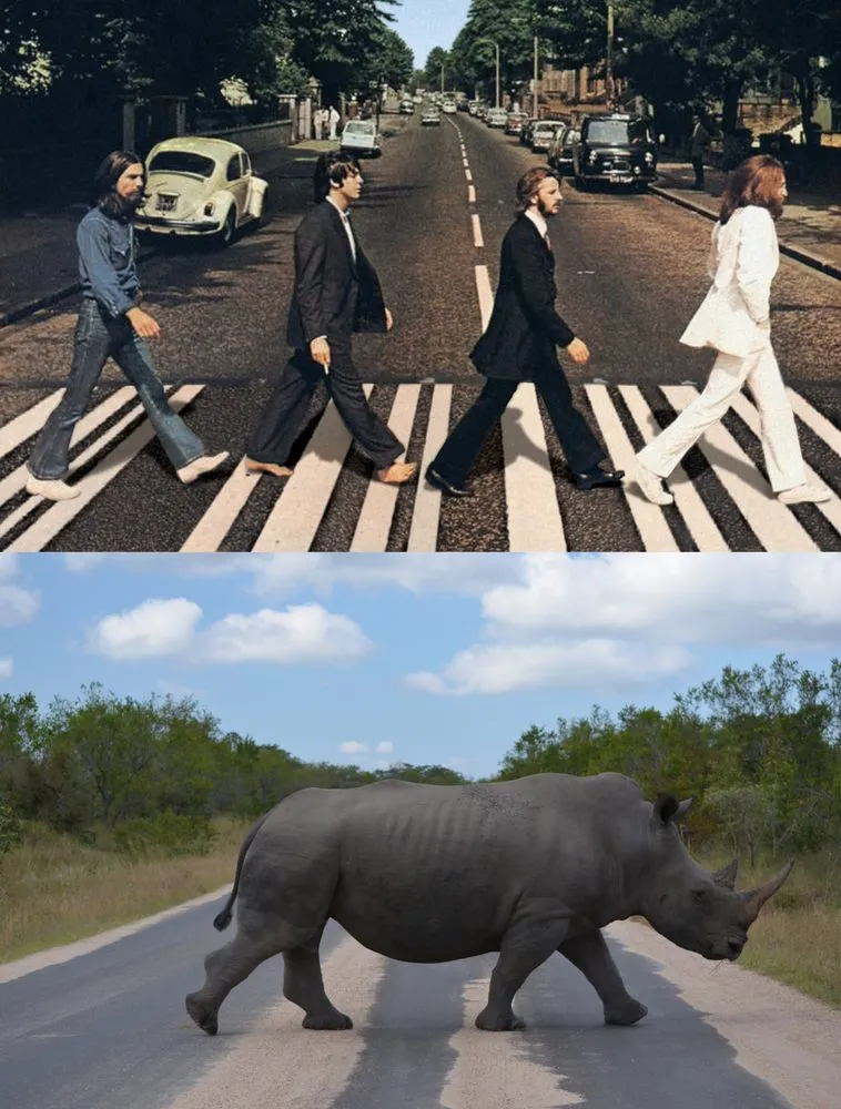 Slide of Alliance Expert Services