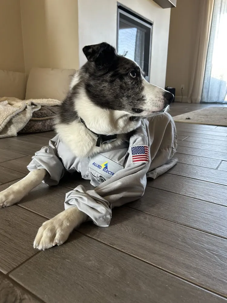 Trusted circuit breaker repair in ,  by Allied Electric, Heating and Air Conditioning