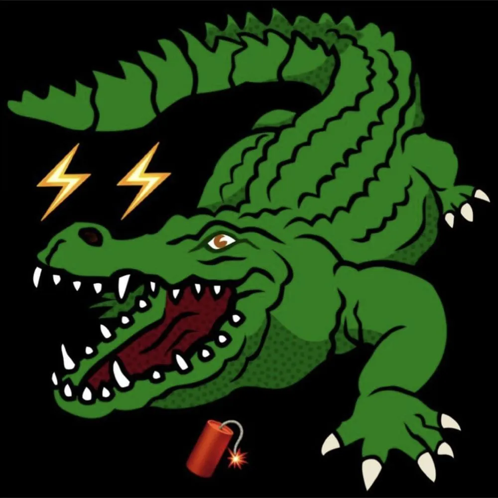 Slide of Alligator Electrical