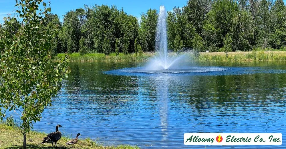 Slide of Alloway Electric