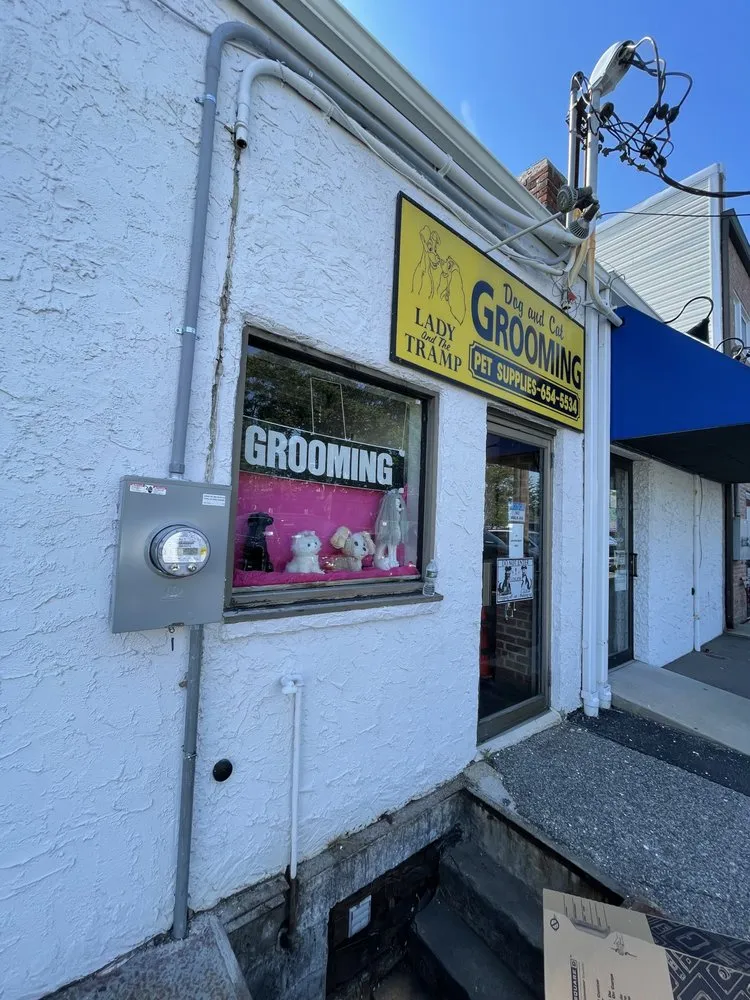 Slide of Alpha & Omega Electric