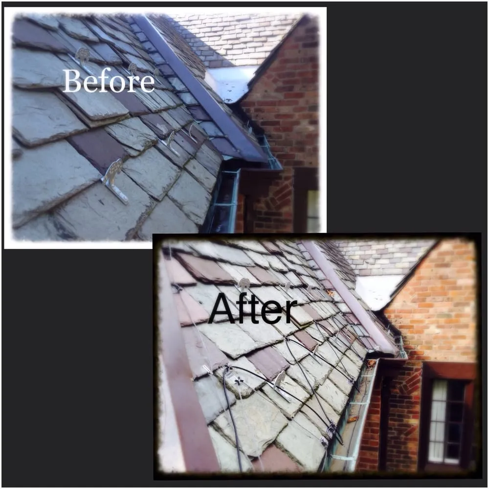 Trusted electrical repair service in , - Alpha Electrical Services