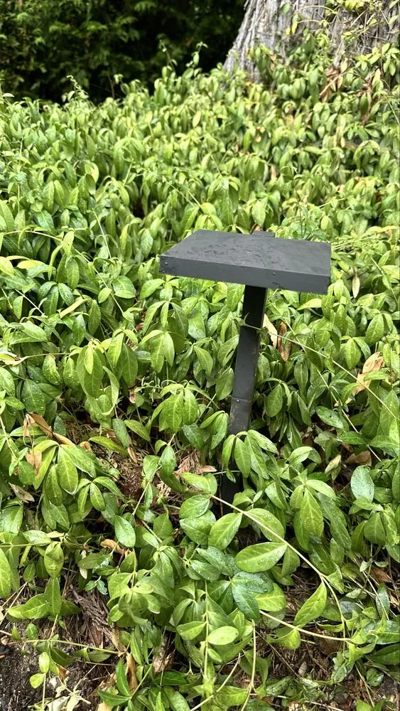 Slide of Alpine Creative