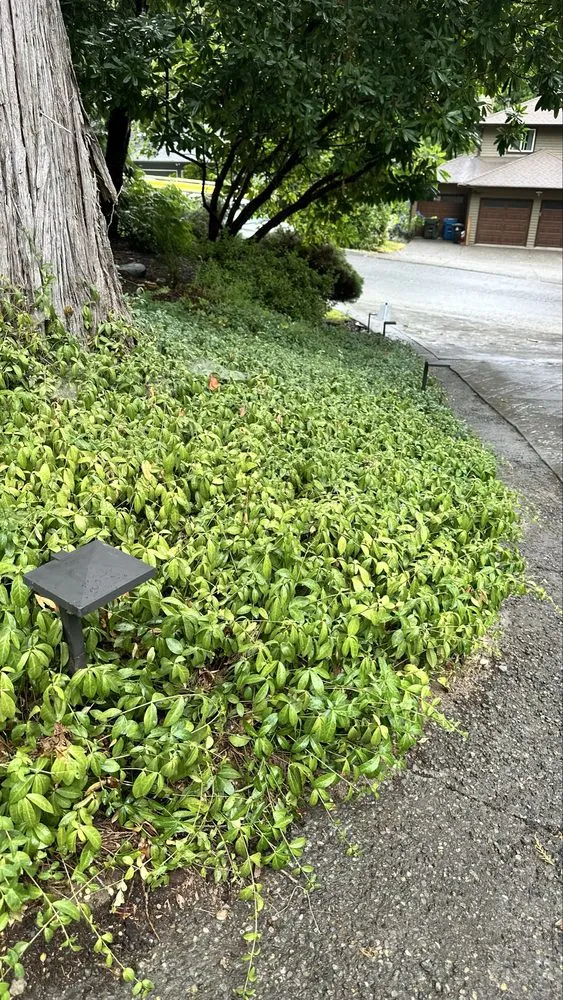 Slide of Alpine Creative