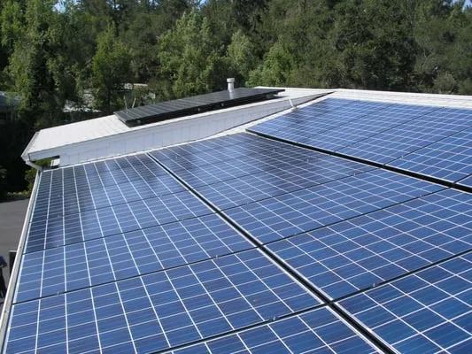 Alpine Electric Power