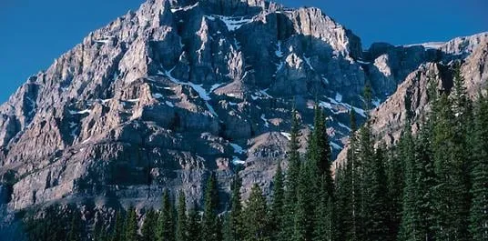 Slide of Alpine Electric