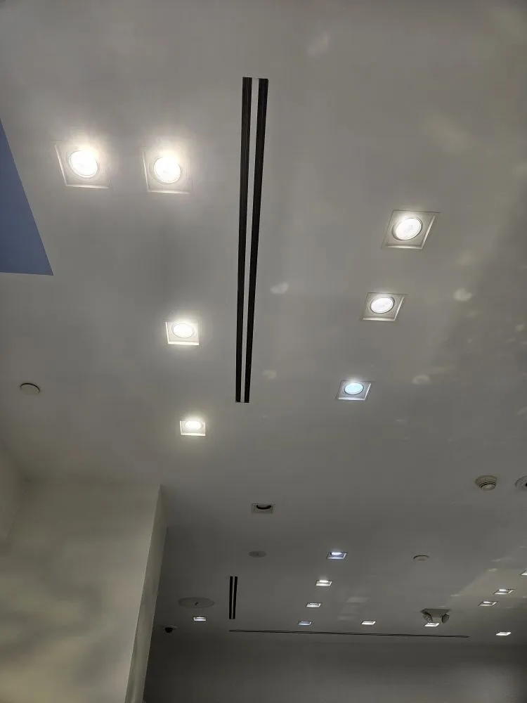 Slide of ALs Maintenance