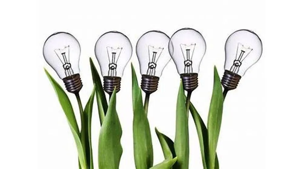 Slide of Alternalite Electric