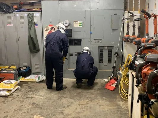 Alternativa Electrical Services