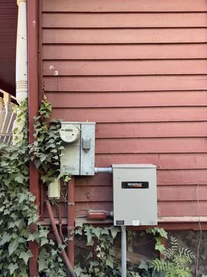 Alternative Power & Electric Logo