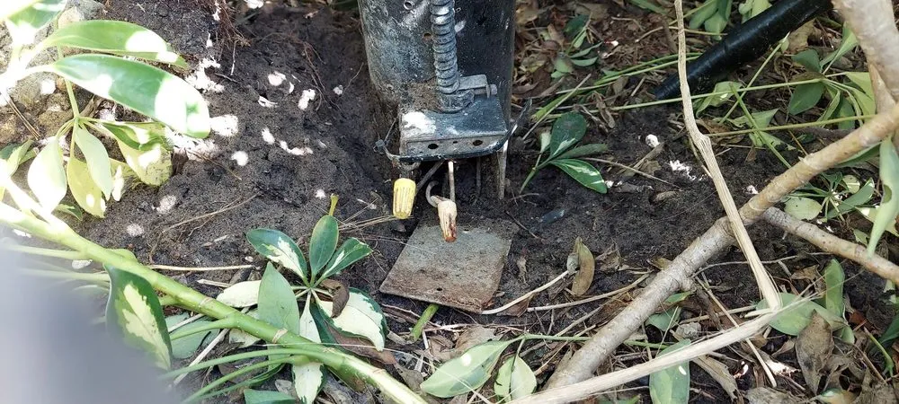 Slide of Altima Lighting