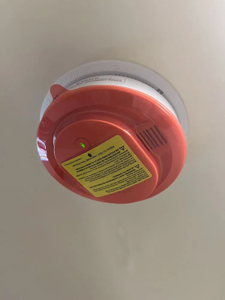 Slide of Alviflow Andyman