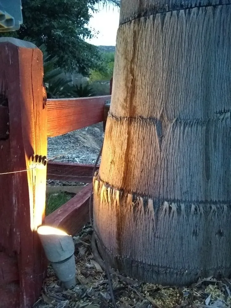 Expert electrical repair experts serving ,  - Always Electrical & Maintenance