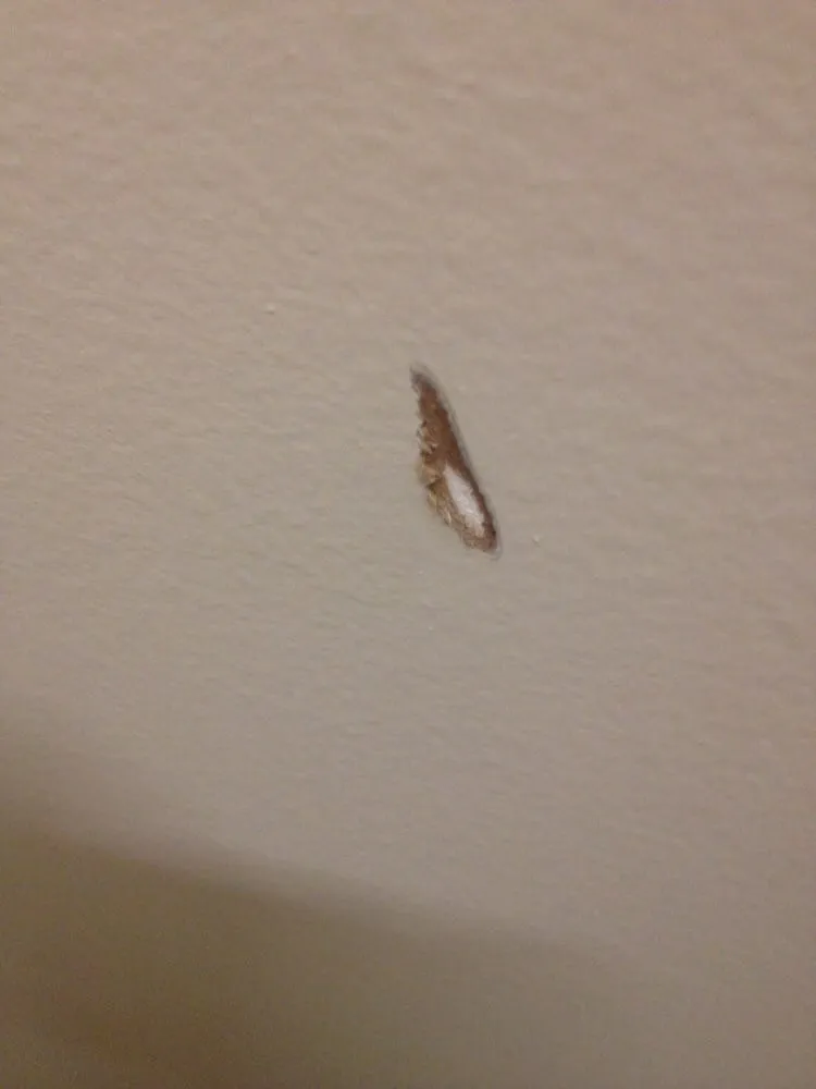 Slide of Alwon Electric Company