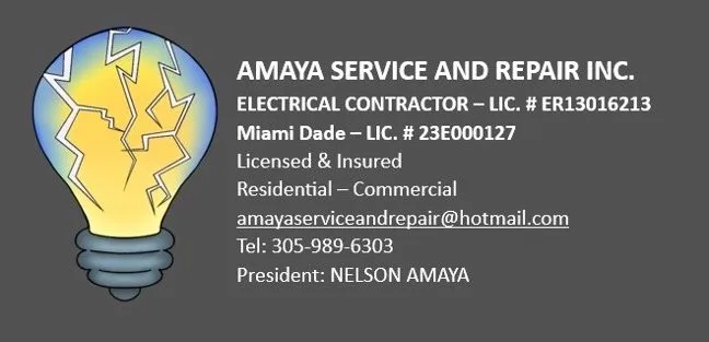 Slide of AMAYA SERVICE