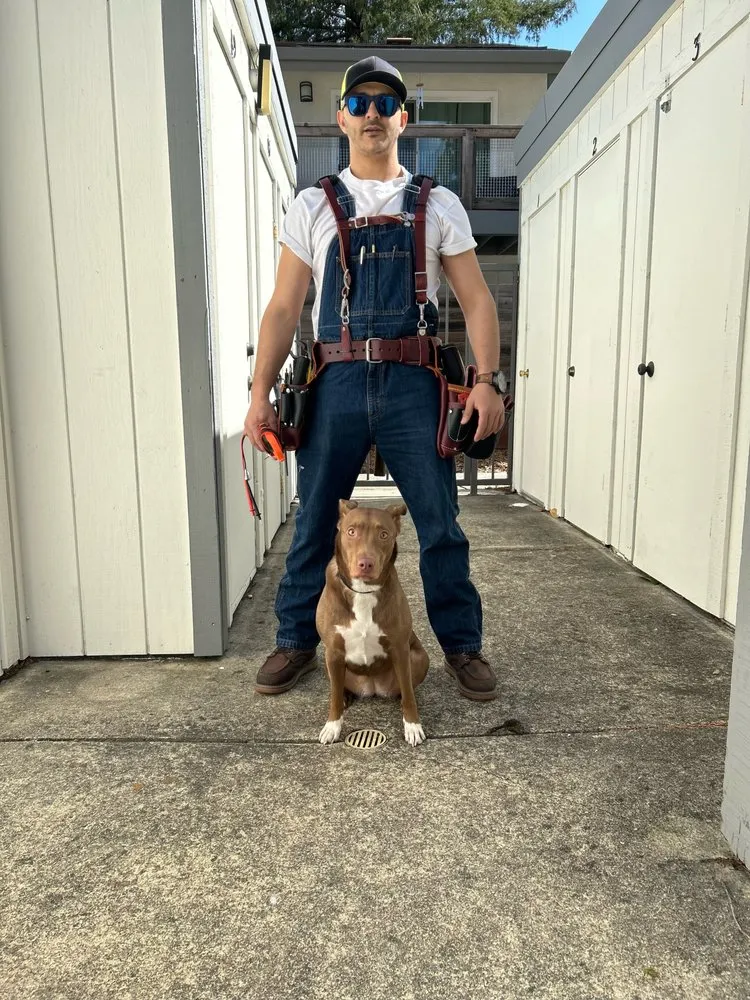 Slide of AMB Electrical services