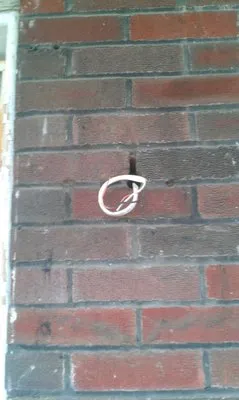 Ambidextrous Electric Logo