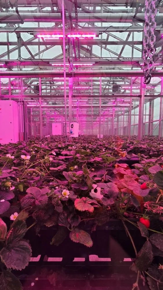 Slide of AME Electrical Contractors