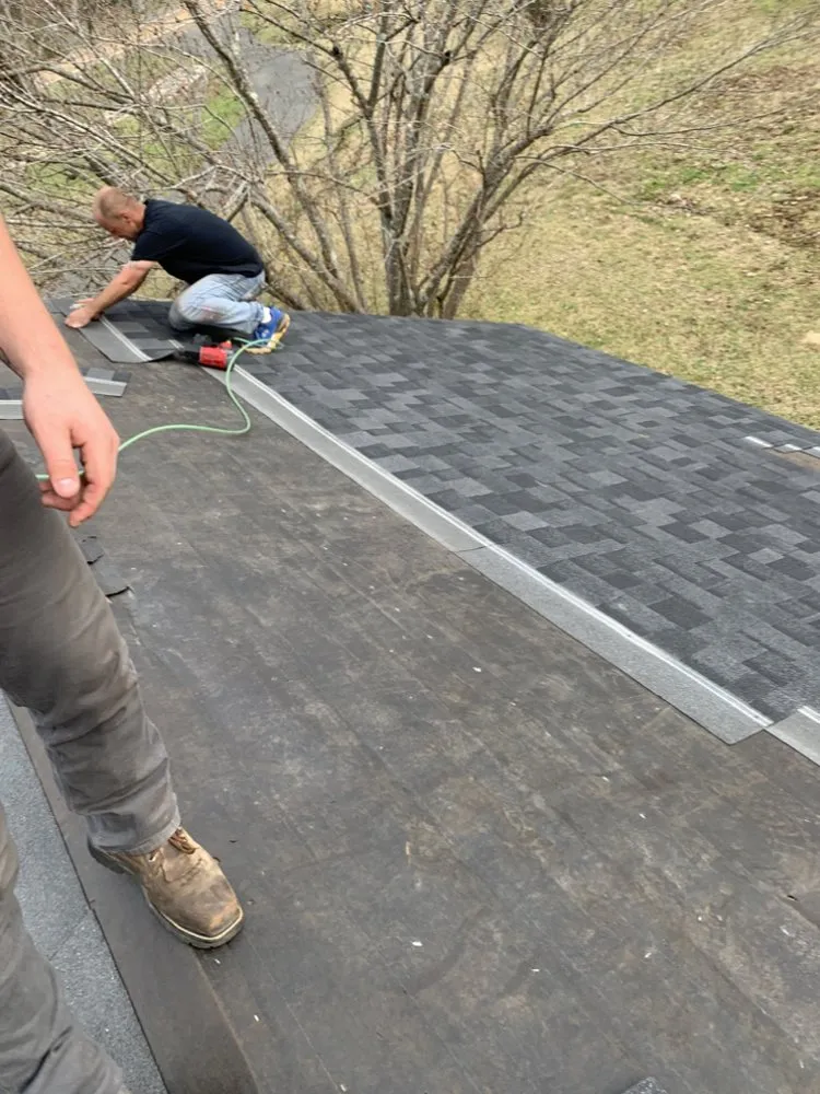 Slide of American Carpenter