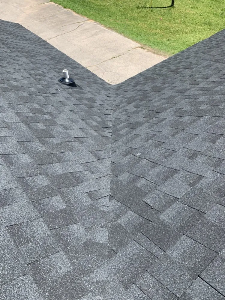 Slide of American Carpenter