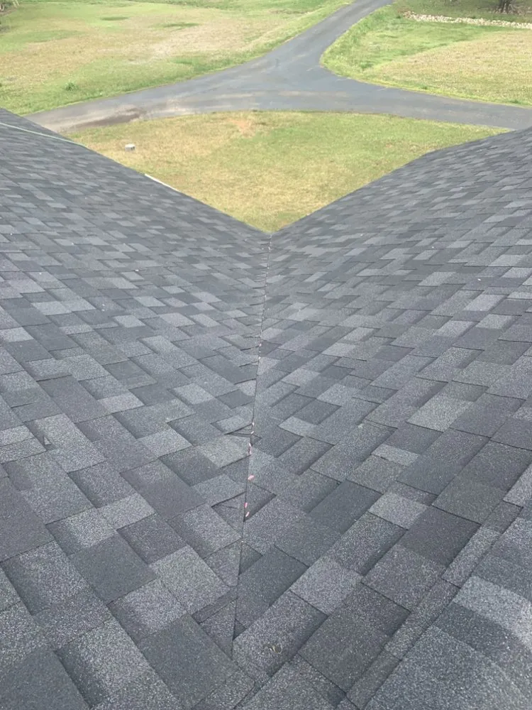 Slide of American Carpenter