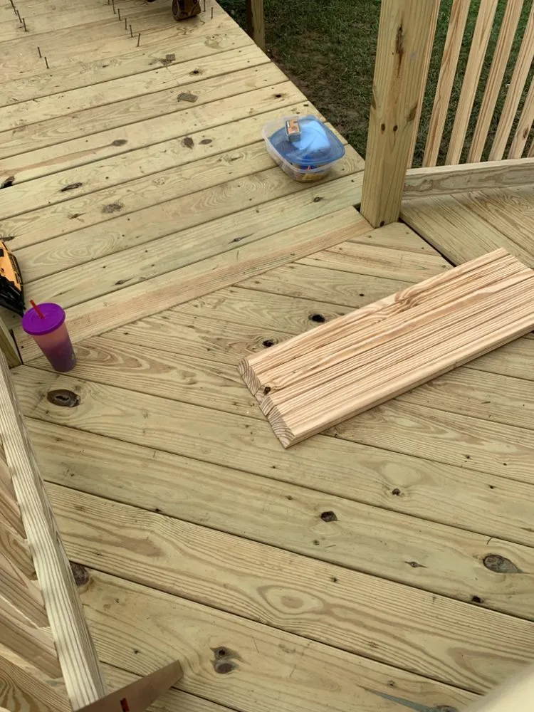 Slide of American Carpenter