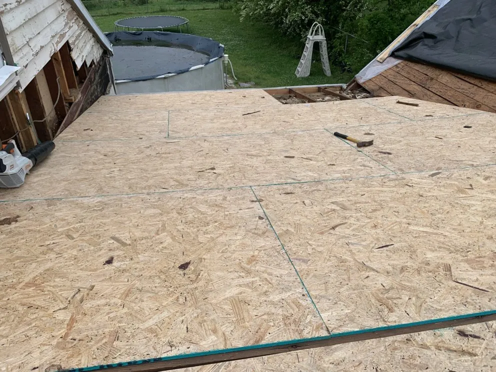 Slide of American Carpenter