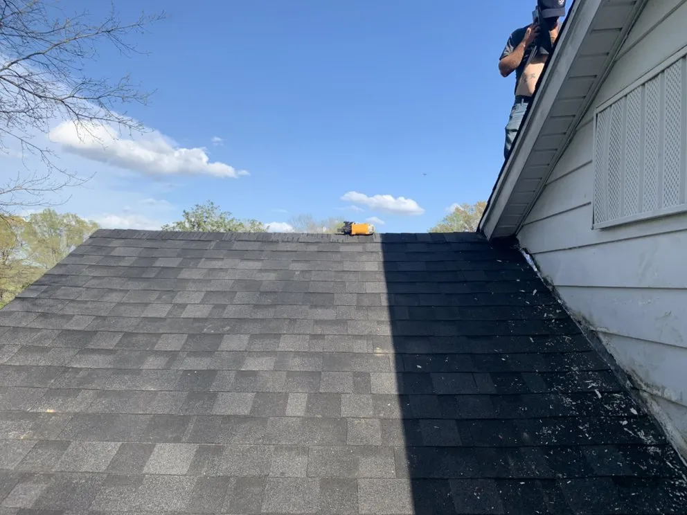 Slide of American Carpenter