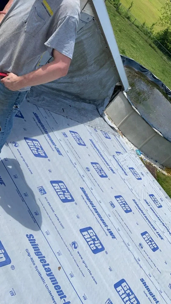 Slide of American Carpenter