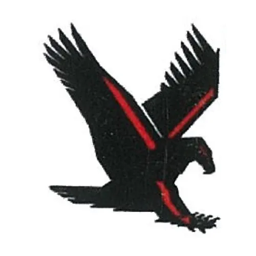 Slide of American Eagle Electric