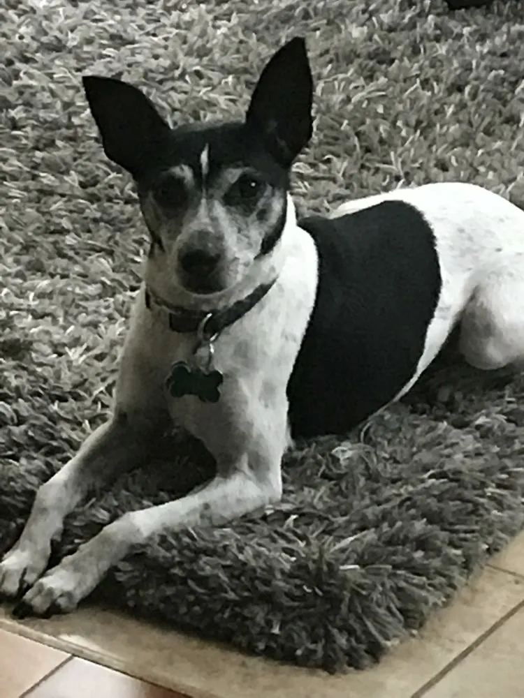 Slide of American Electric