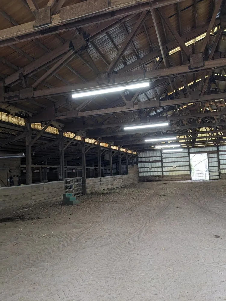 Professional outlet and switch repair experts serving ,  - American Electric Service